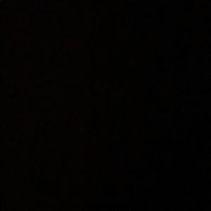 Meet your Posher, Jake